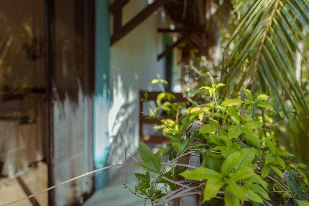 Hotel Villas Tiburon Isla Holbox Buitenkant foto