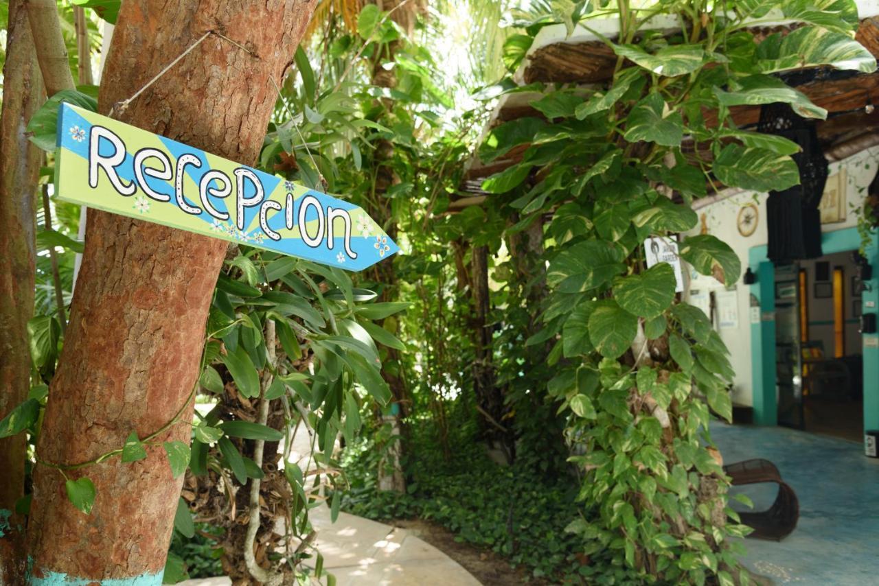 Hotel Villas Tiburon Isla Holbox Buitenkant foto